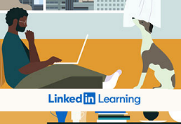 LinkedIn Learning icon